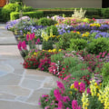 Landscaping Tips for Boosting Your Home's Curb Appeal
