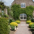 Choosing Energy-Efficient Windows for Your Home