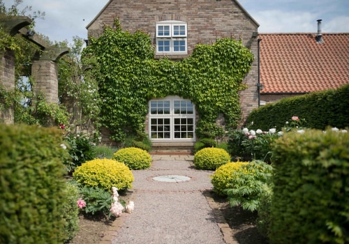 Choosing Energy-Efficient Windows for Your Home
